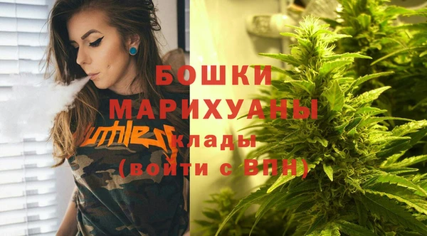 сатива Богородск