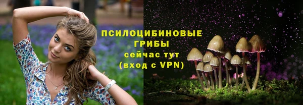 сатива Богородск