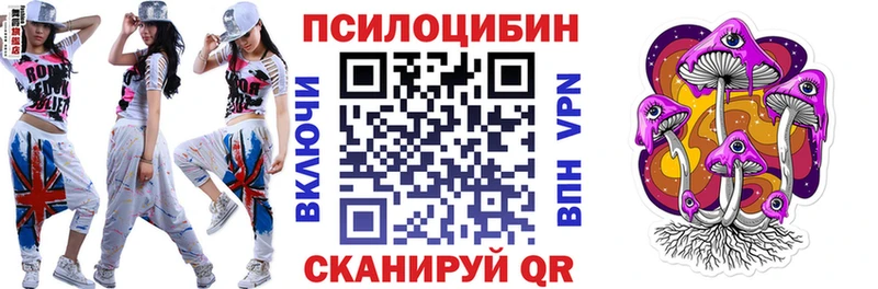 цена   darknet формула  Псилоцибиновые грибы мухоморы  Княгинино 